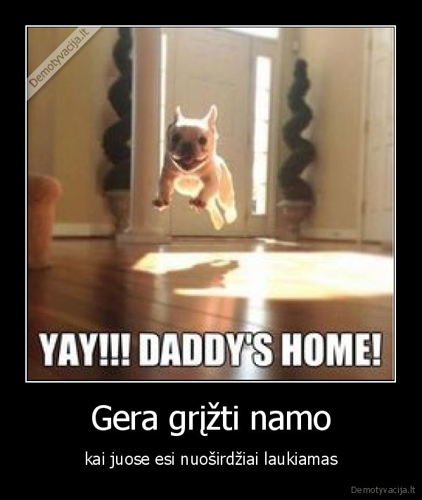 sunys,namai