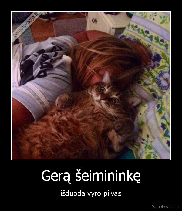 seiminke,gera,vyras,storas
