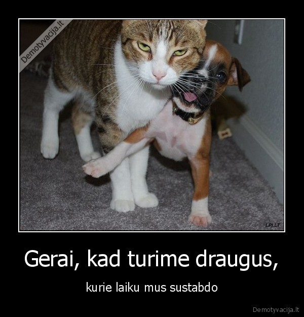 draugai,pyktis
