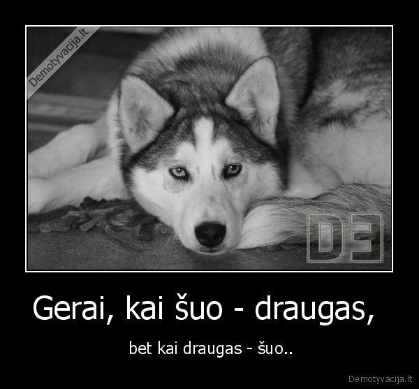 Gerai, kai šuo - draugas,