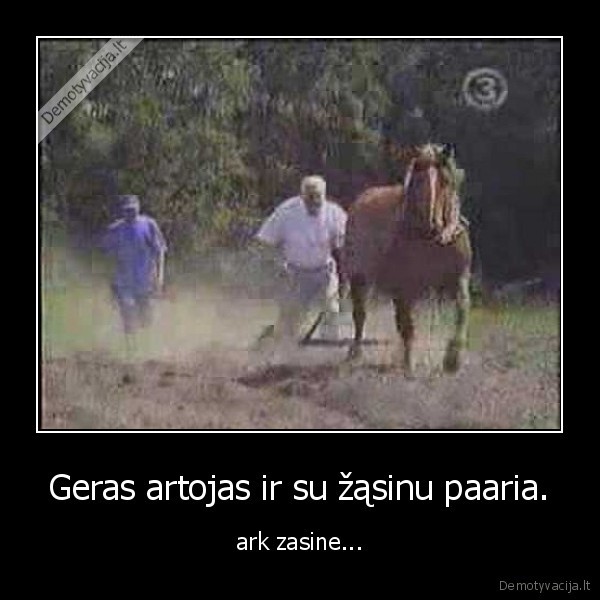Geras artojas ir su žąsinu paaria.