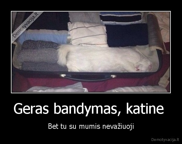 Geras bandymas, katine 