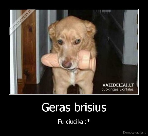 Geras brisius