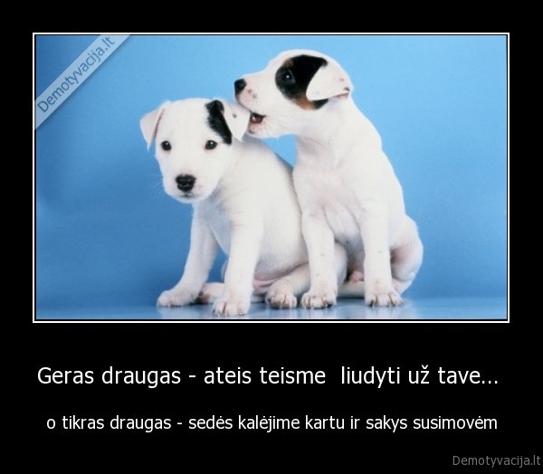 draugas