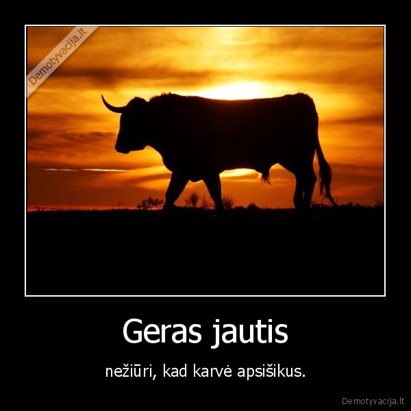 Geras jautis