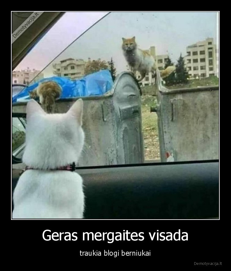 geros, mergaites,blogi, berniukai,katinai,siuksles