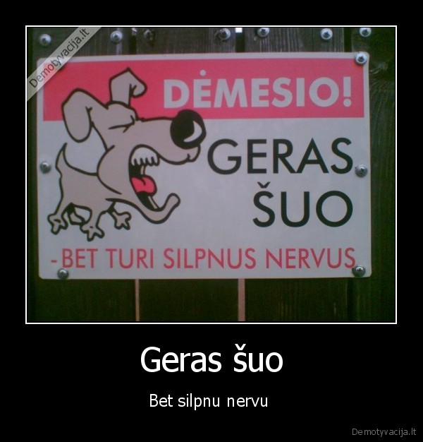 Geras šuo