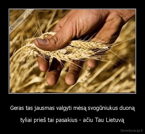 Geras tas jausmas valgyti mėsą svogūniukus duoną