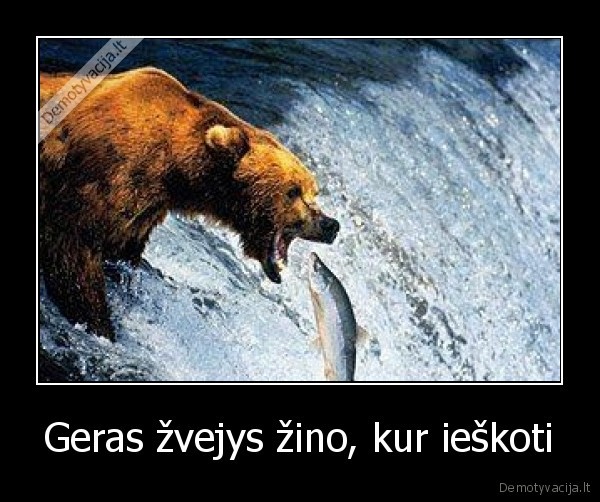 zvejyba
