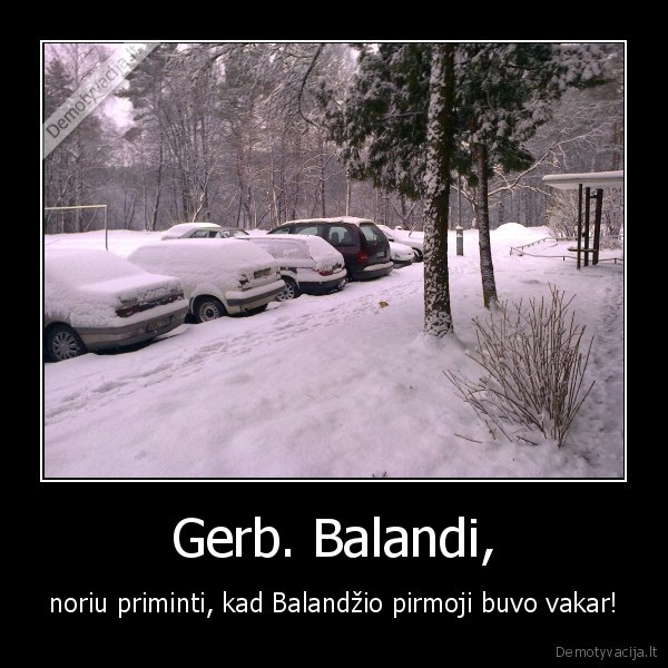 ziema,balandis,sniegas