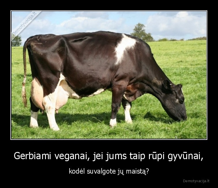 veganai,karve,valgo,zole