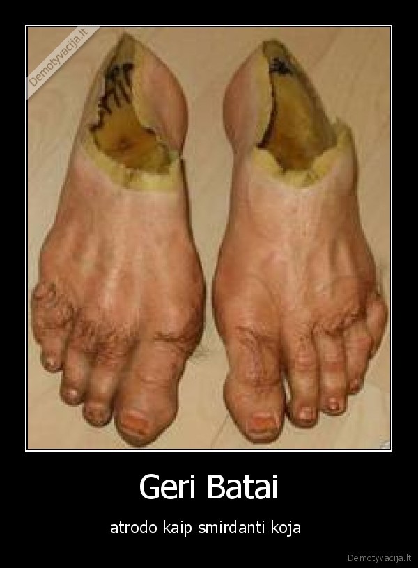 batai