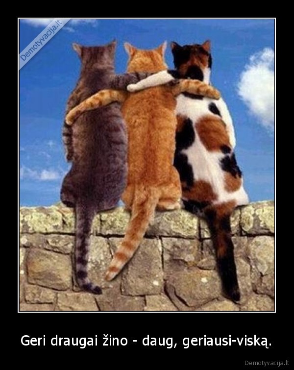 friends, nx