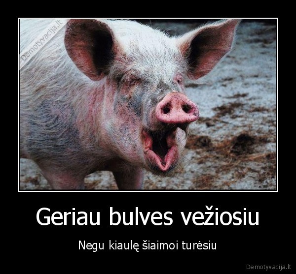Geriau bulves vežiosiu