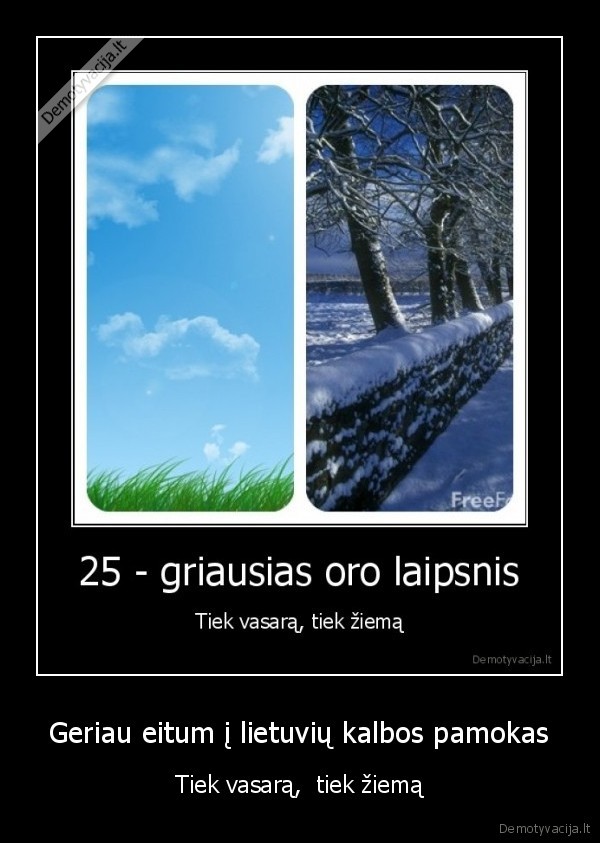 ismok, rasyt