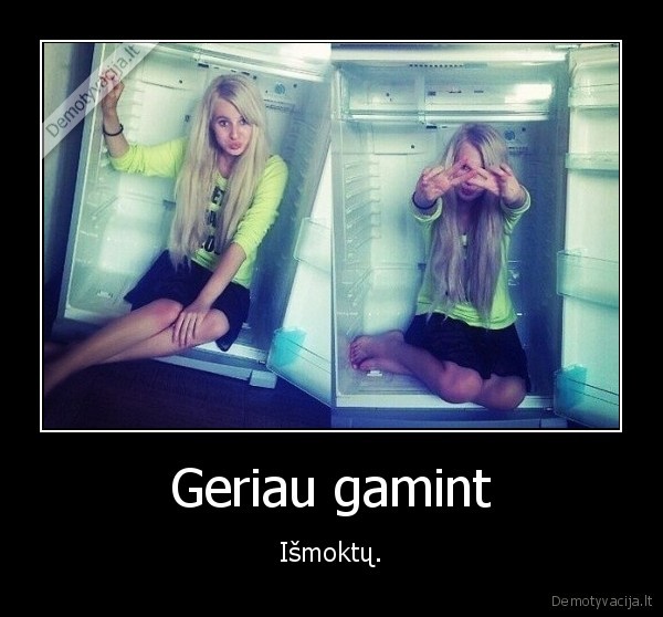 gaminti,maistas,saldytuvas