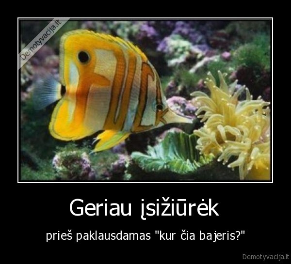 isiziurek