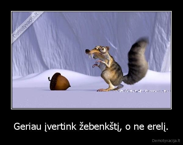 Geriau įvertink žebenkštį, o ne erelį.