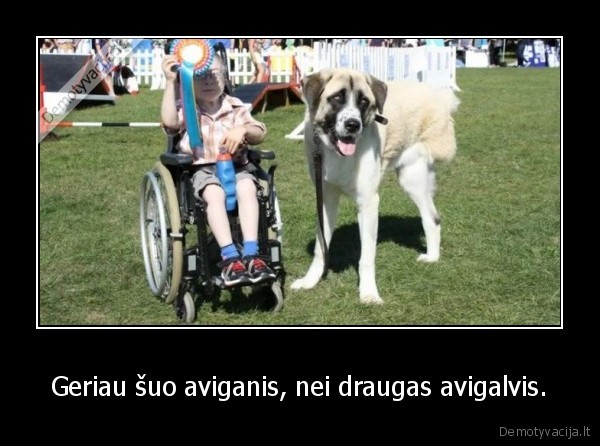 Geriau šuo aviganis, nei draugas avigalvis.