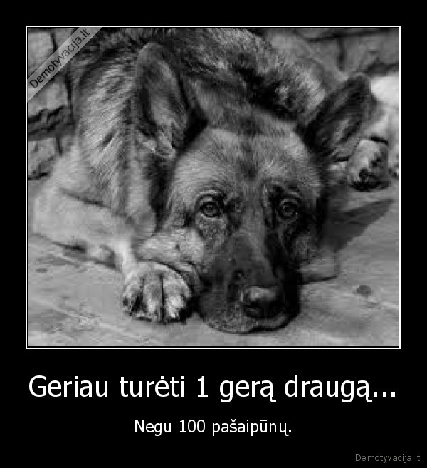 Geriau turėti 1 gerą draugą...