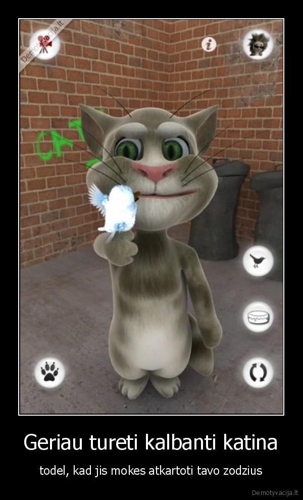 tom,the,talking,cat