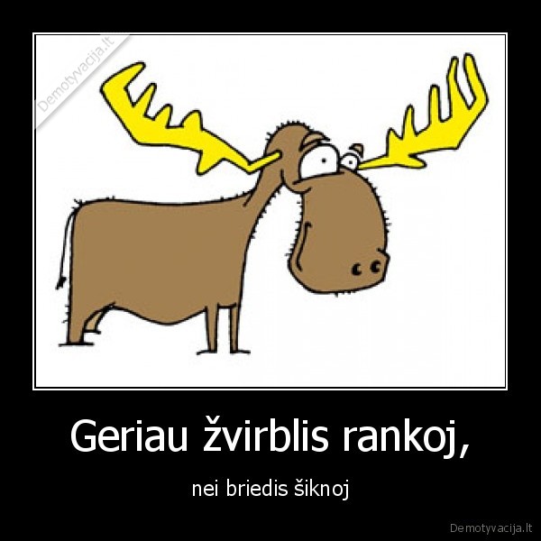 juodas, humoras,briedis,zvirblis,cha
