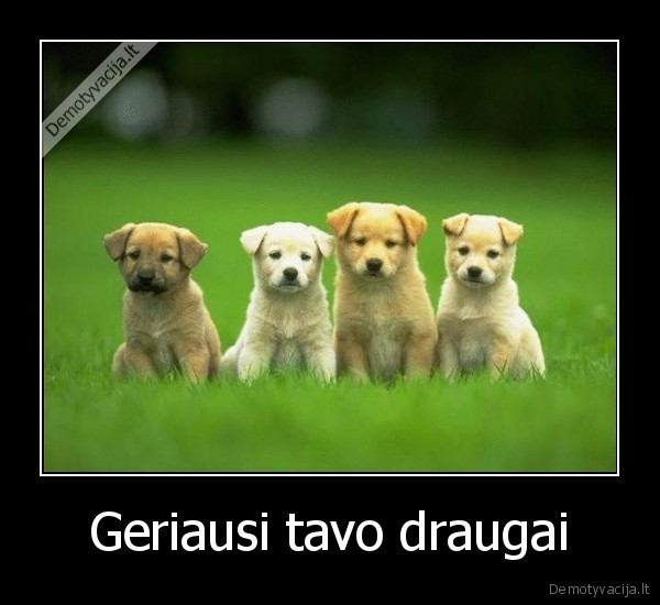 Geriausi tavo draugai