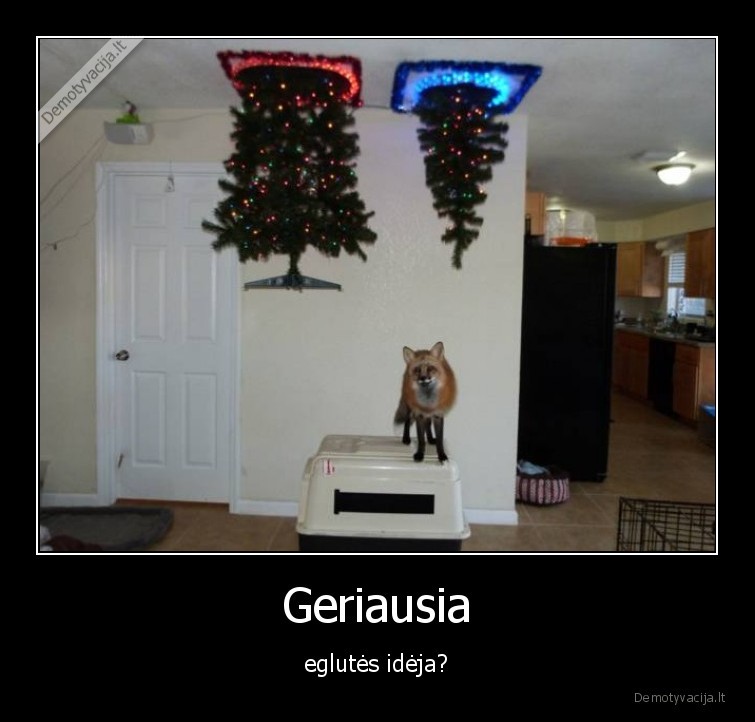 portal,eglute,ideja,originaliai