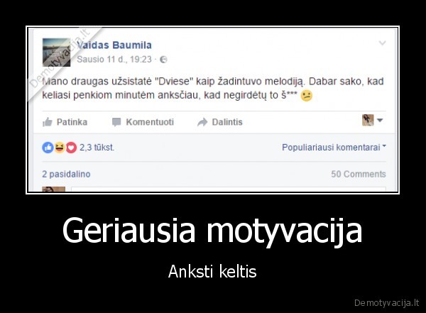 monika, ir, vaidas, dviese,muzika