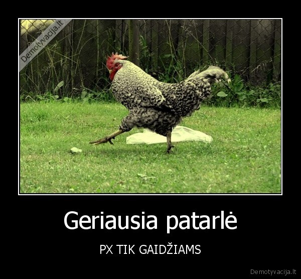 Geriausia patarlė