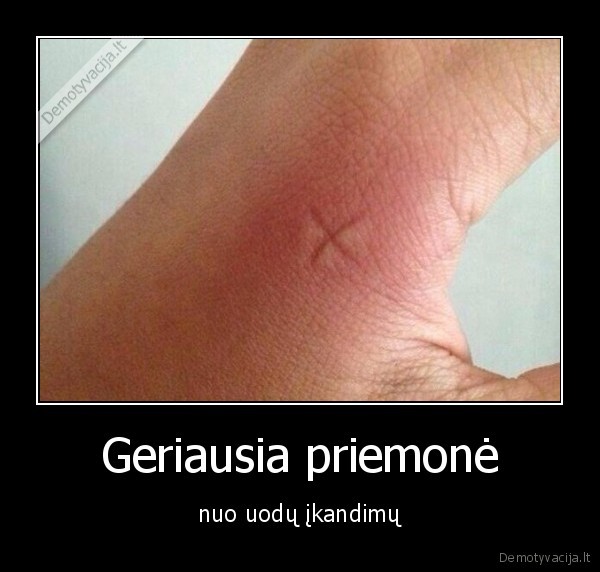 Geriausia priemonė