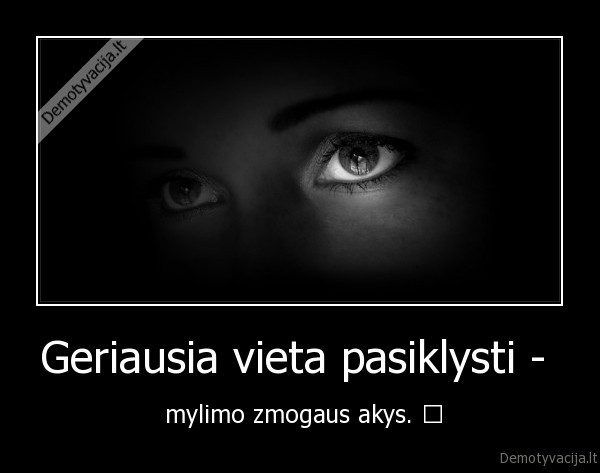 Geriausia vieta pasiklysti - 