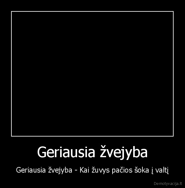 zvejyba
