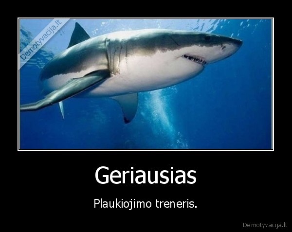 ryklys,treneris