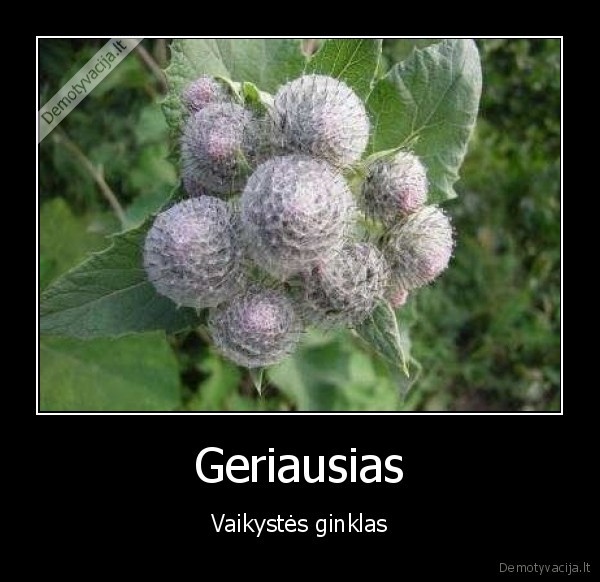 lipnus, pumpurai,nostalgija, vaikystei