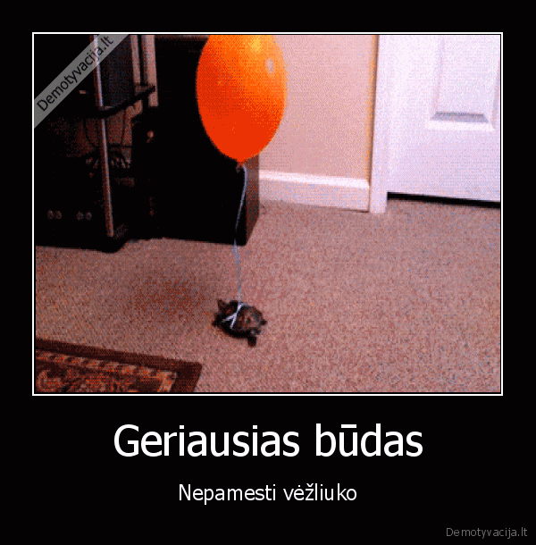 vezlys, su, balionu,vezliukas
