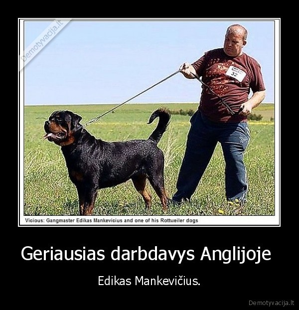 edikas,vistos,gaidys,vergai