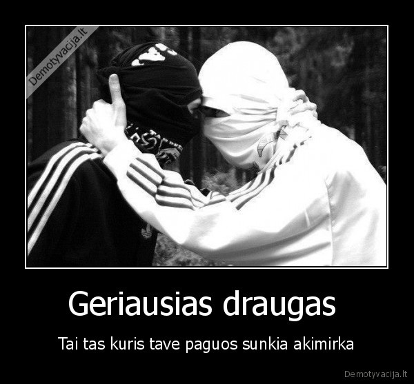 draugiste
