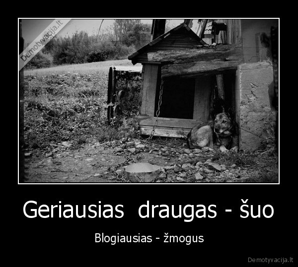 suo, liudesys