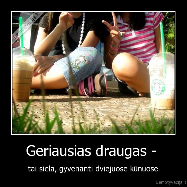 draugas, geriausias, siela, kunas, draugyste