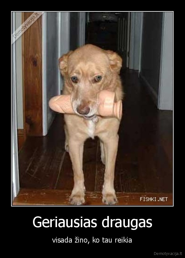 Geriausias draugas