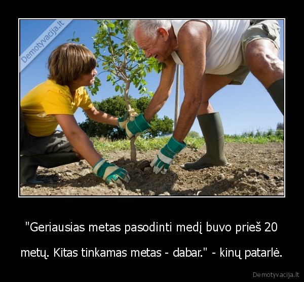 medzio, sodinimas,medis,patarle