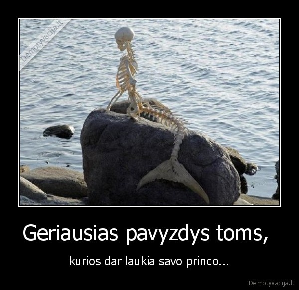 tobulu, vyru, nera