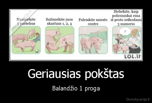melagiu, diena,balandzio, 1,kiaules