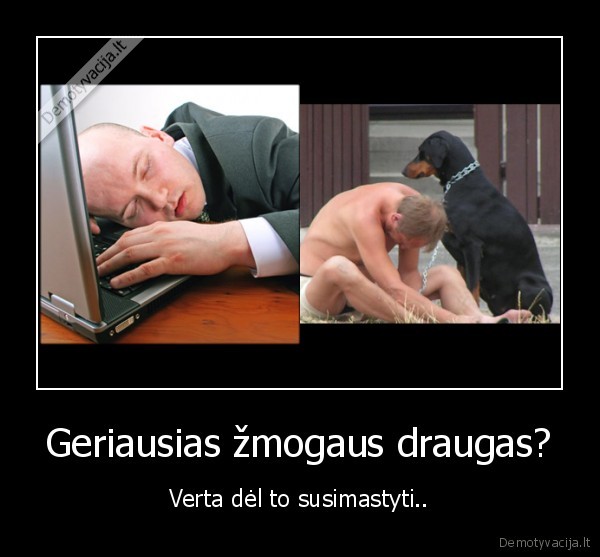 draugai