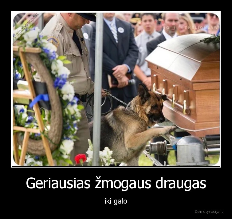 draugas,suo,mirtis,laidotuves