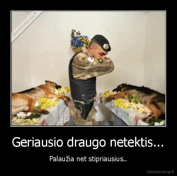 sunys,karys,mirtis