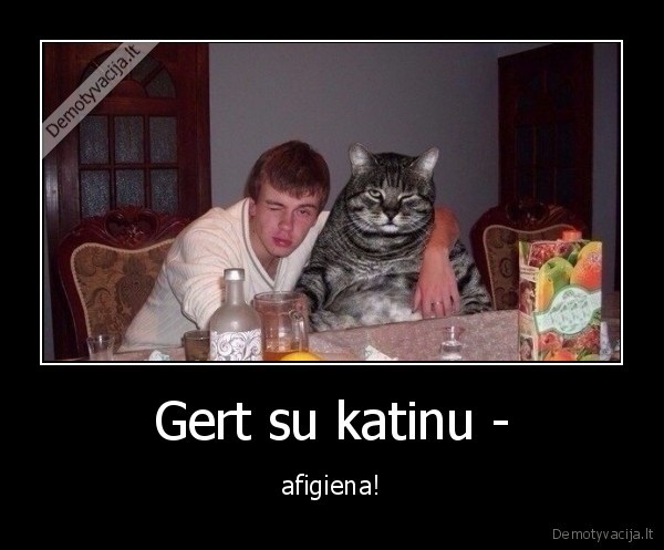 katinas
