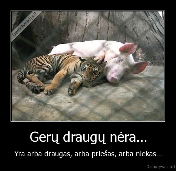draugai