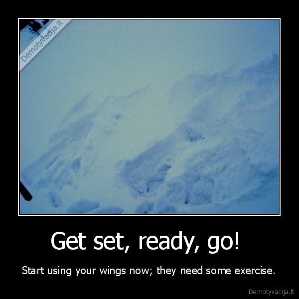 Get set, ready, go! 
